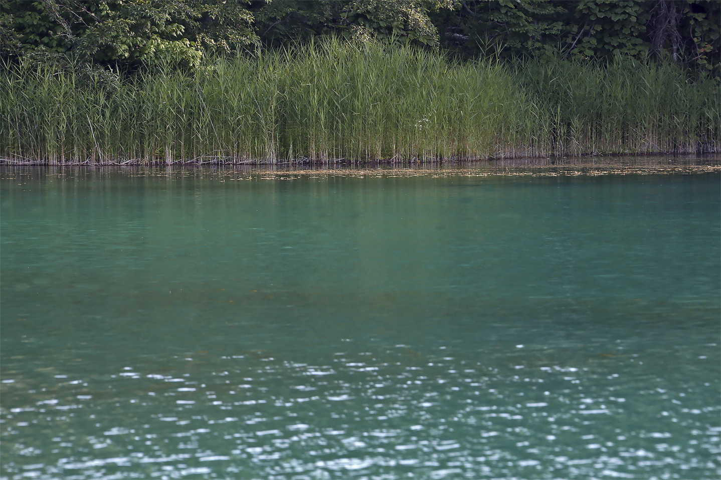 Bentennuma in Fukushima